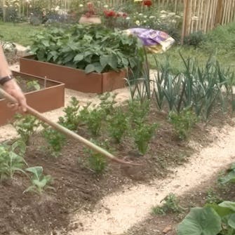 lannoitus kasvimaa lannoitus kasvimaa